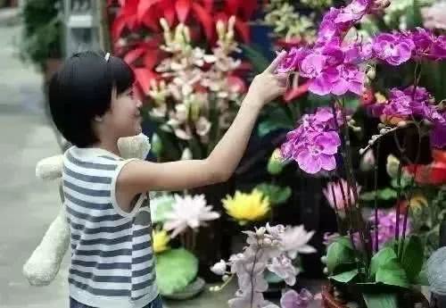 152794642382228251131184044731743514 yp街机·电子游戏(中国)官方网站